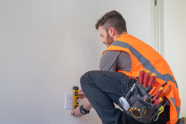 Best Residential Electrician Services  in Romulus, MI