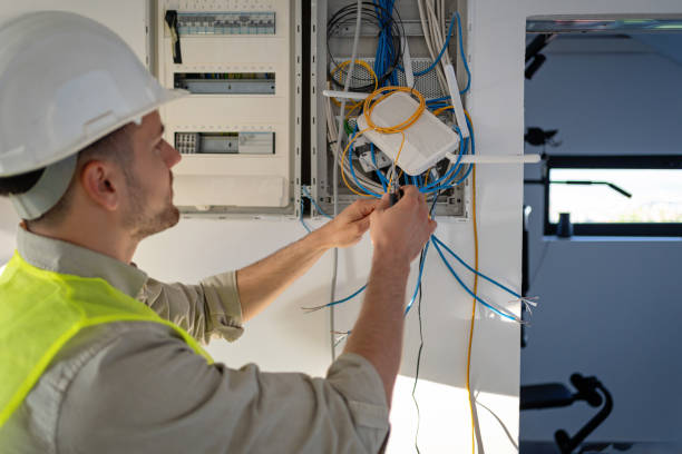 Best Electrical Rewiring Services  in Romulus, MI